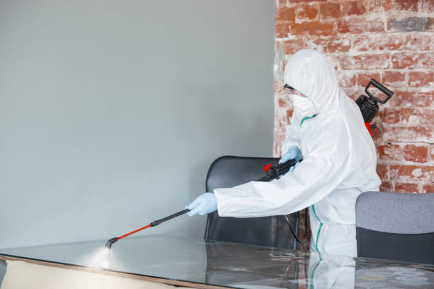 Best Water Damage & Mold Remediation  in USA